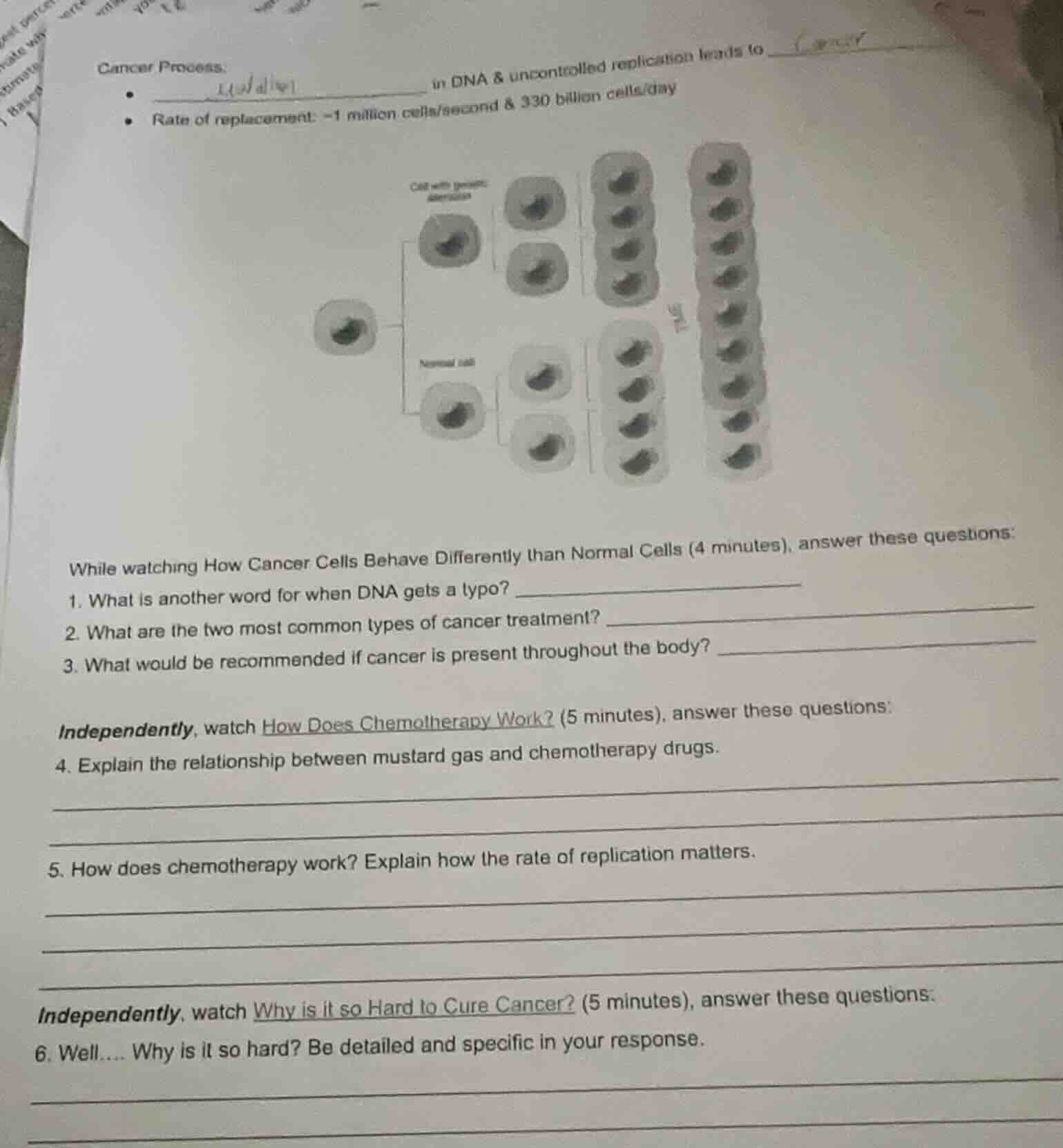 cancer process.• ______ in dna & uncontrolled replication leads to ____…