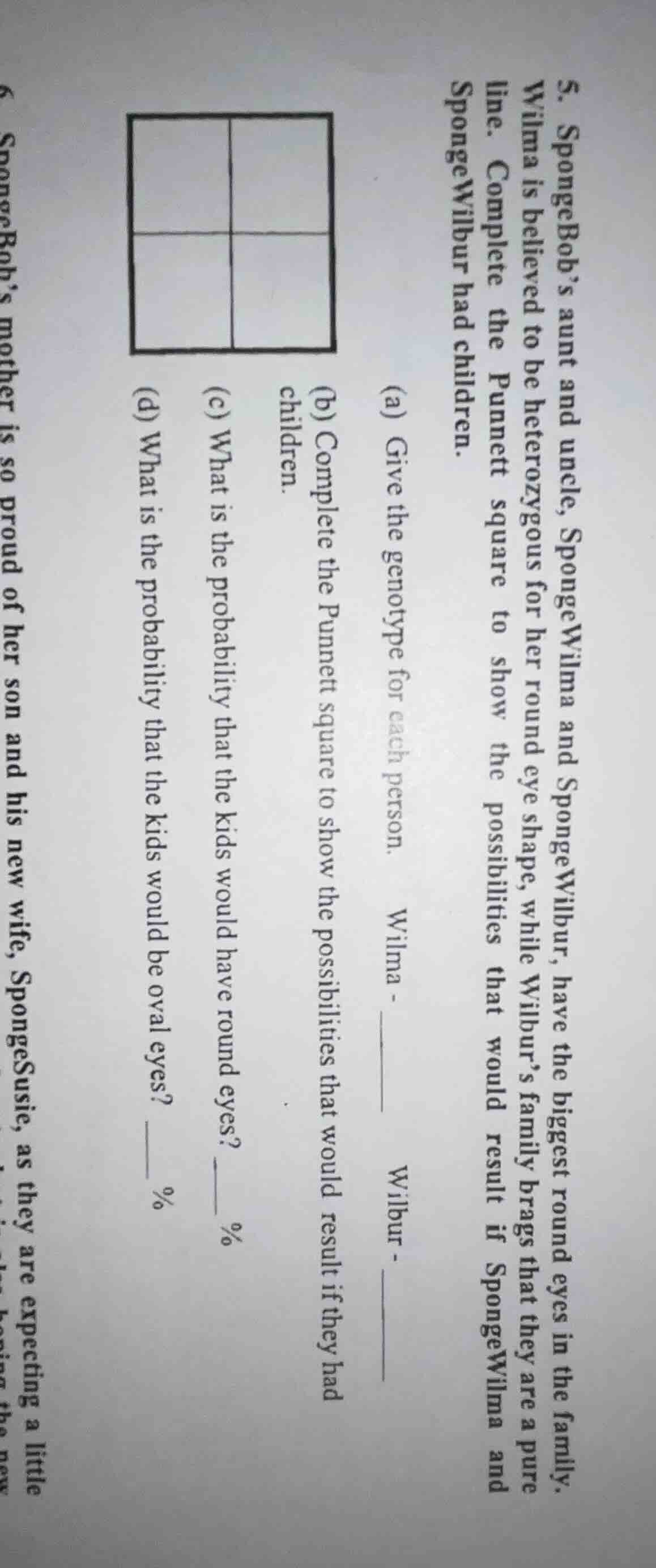 5. spongebobs aunt and uncle, spongewilma and spongewilbur, have the bi…