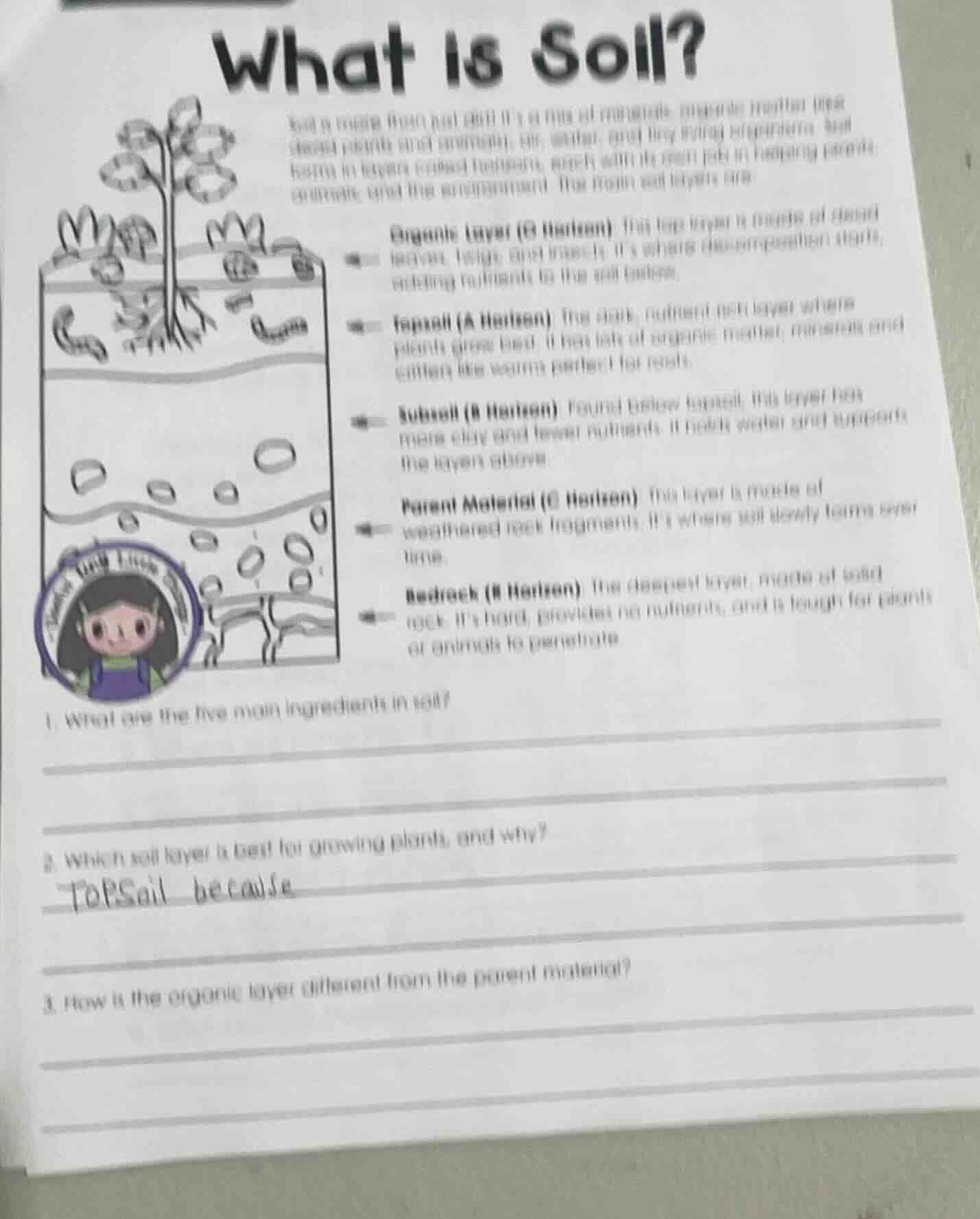 what is soil?soil is more than just dirt! its a mix of minerals, organi…