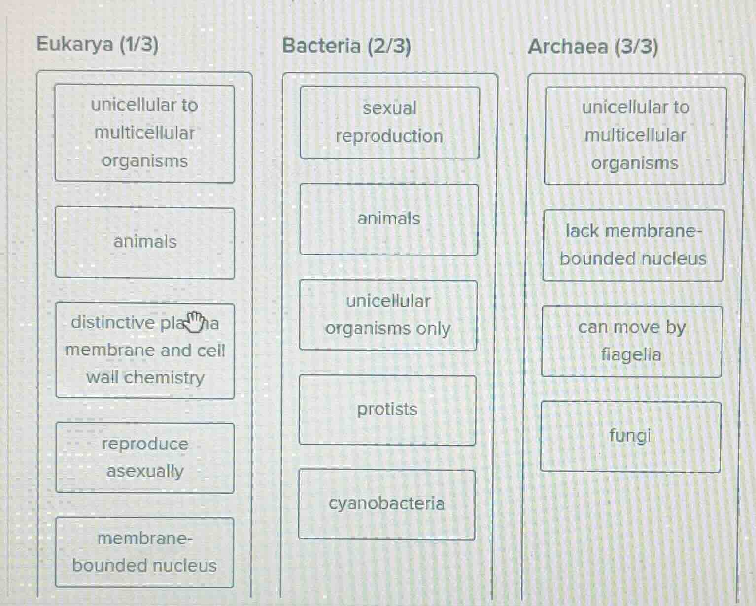 eukarya (1/3) unicellular to multicellular organisms animals distinctiv…