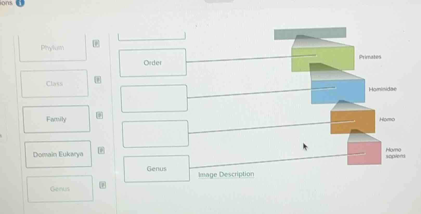 drag the following taxonomic ranks to the correct blanks to complete th…
