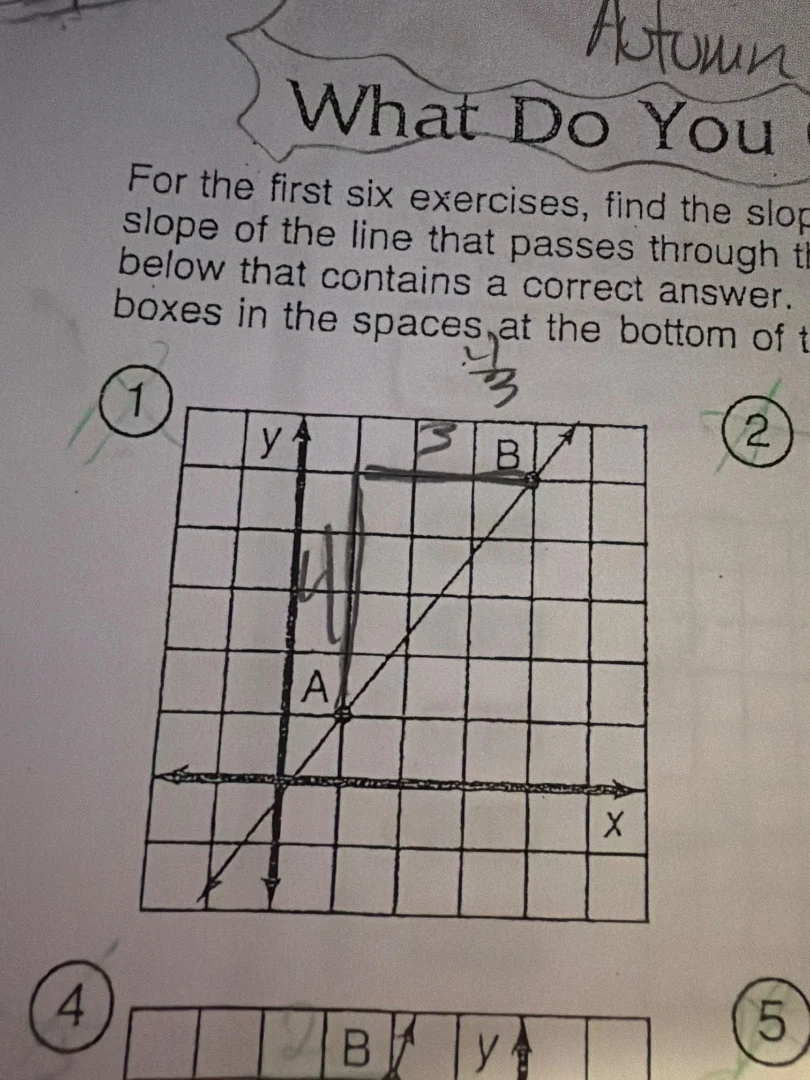 what do youfor the first six exercises, find the slopslope of the line …