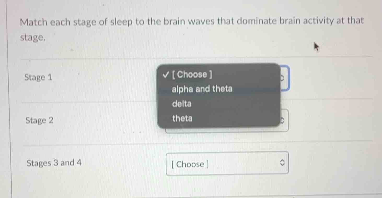 match each stage of sleep to the brain waves that dominate brain activi…