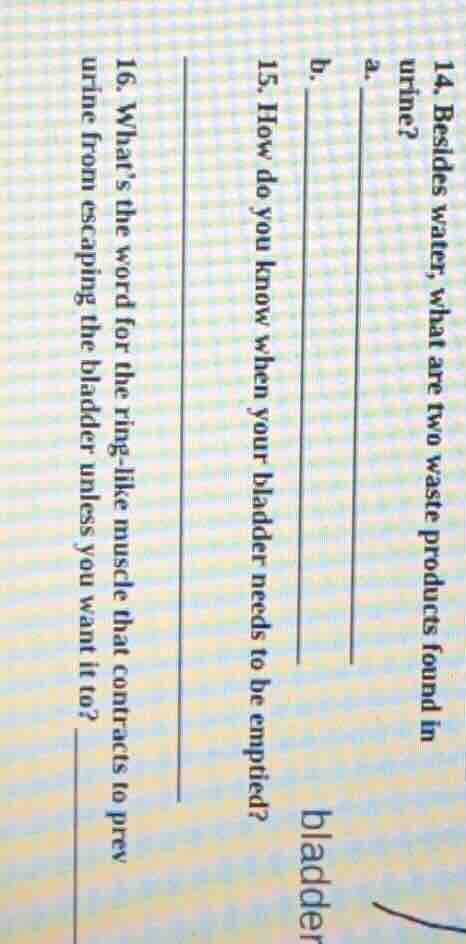 14. besides water, what are two waste products found in urine? a. b. 15…