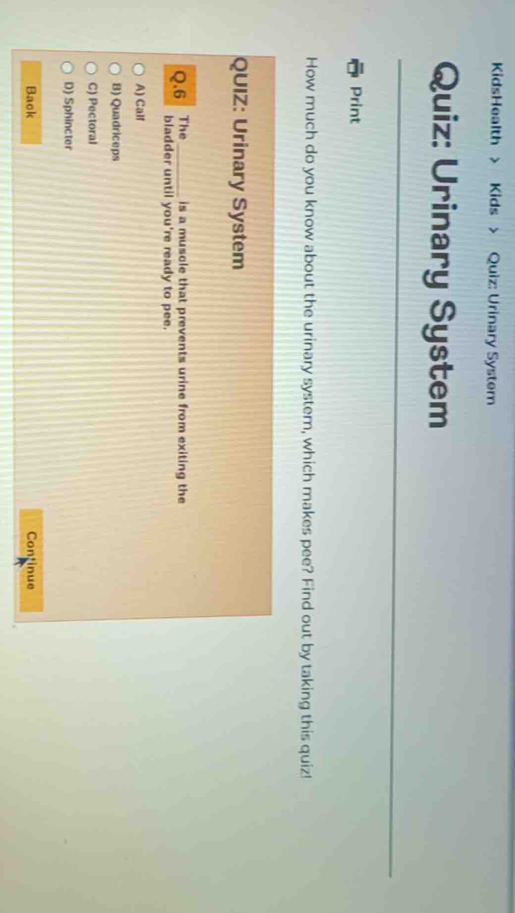 kidshealth > kids > quiz: urinary system quiz: urinary system print how…