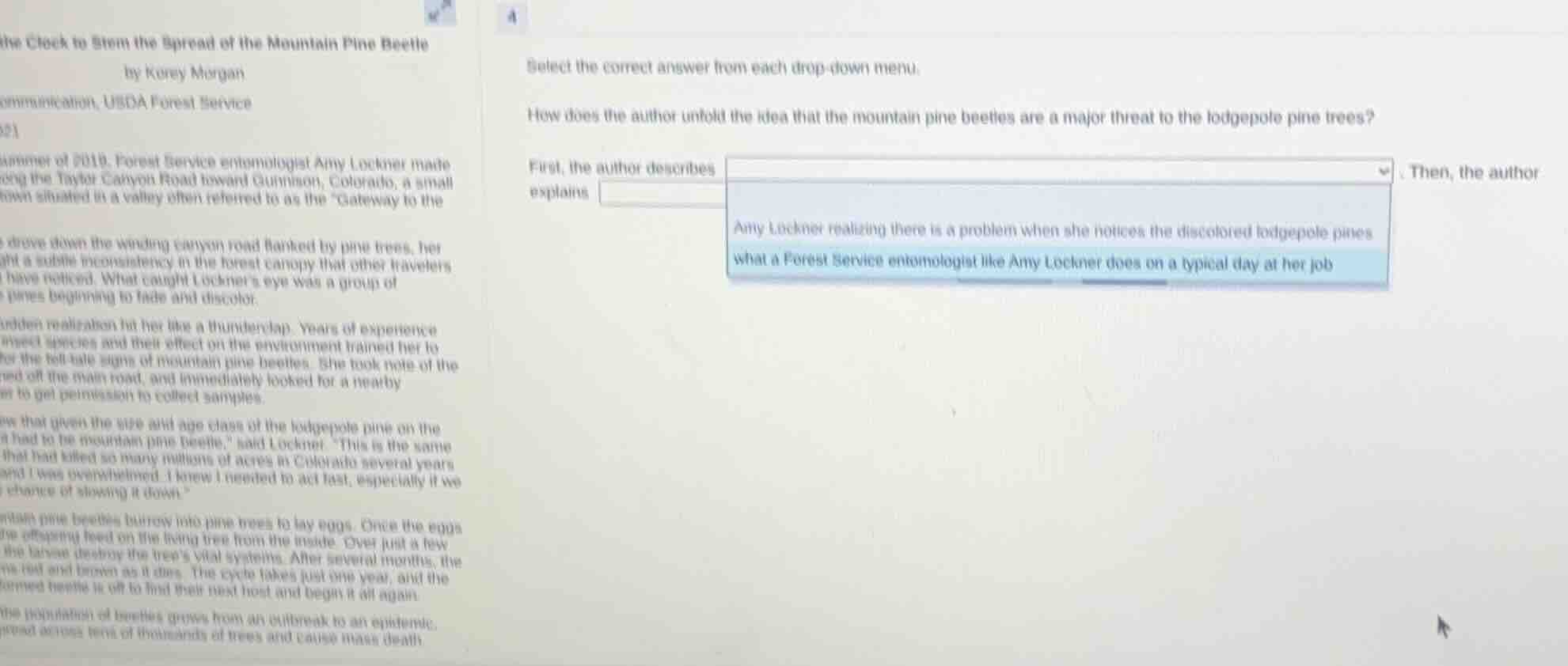 the clock to stem the spread of the mountain pine beetle by korey morga…