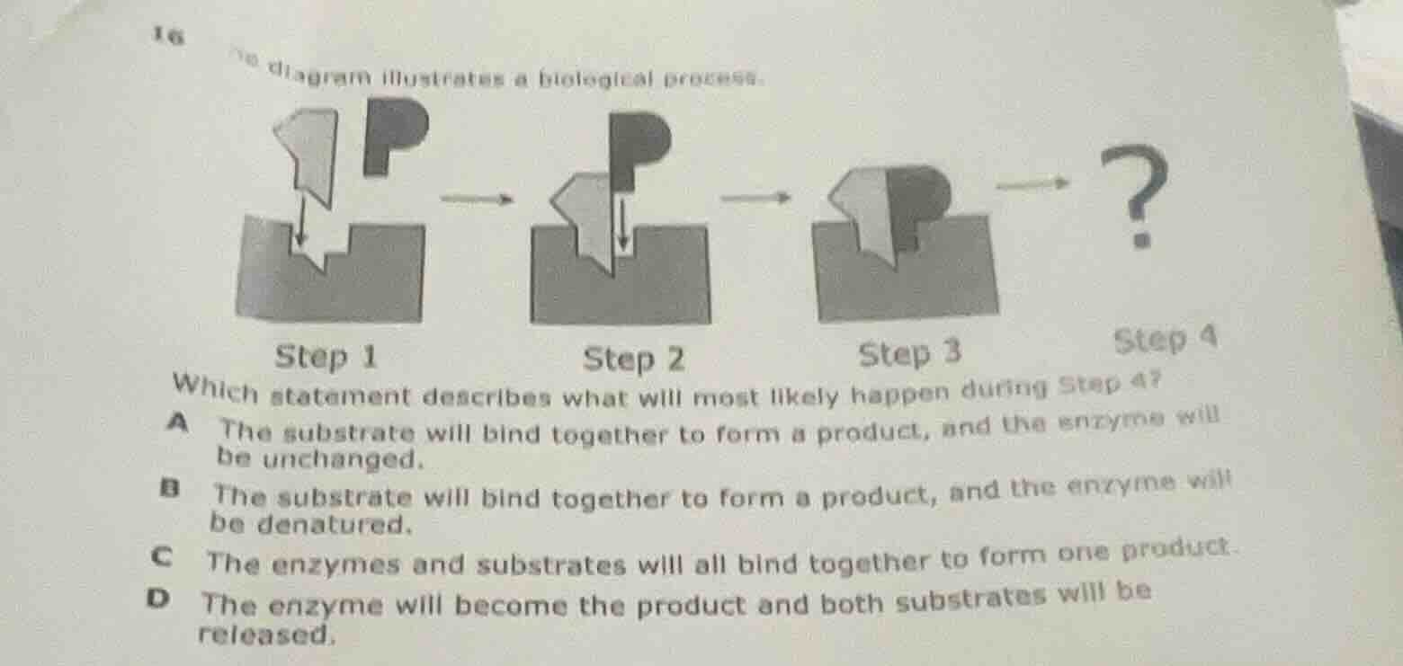 16 the diagram illustrates a biological process. step 1 step 2 step 3 s…