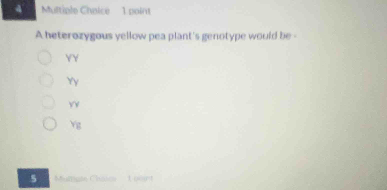 4 multiple choice 1 point a heterozygous yellow pea plants genotype wou…