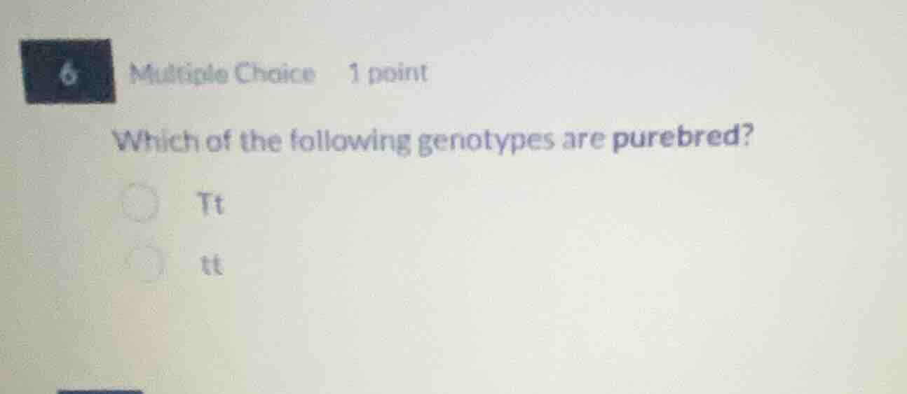 6 multiple choice 1 point which of the following genotypes are purebred…