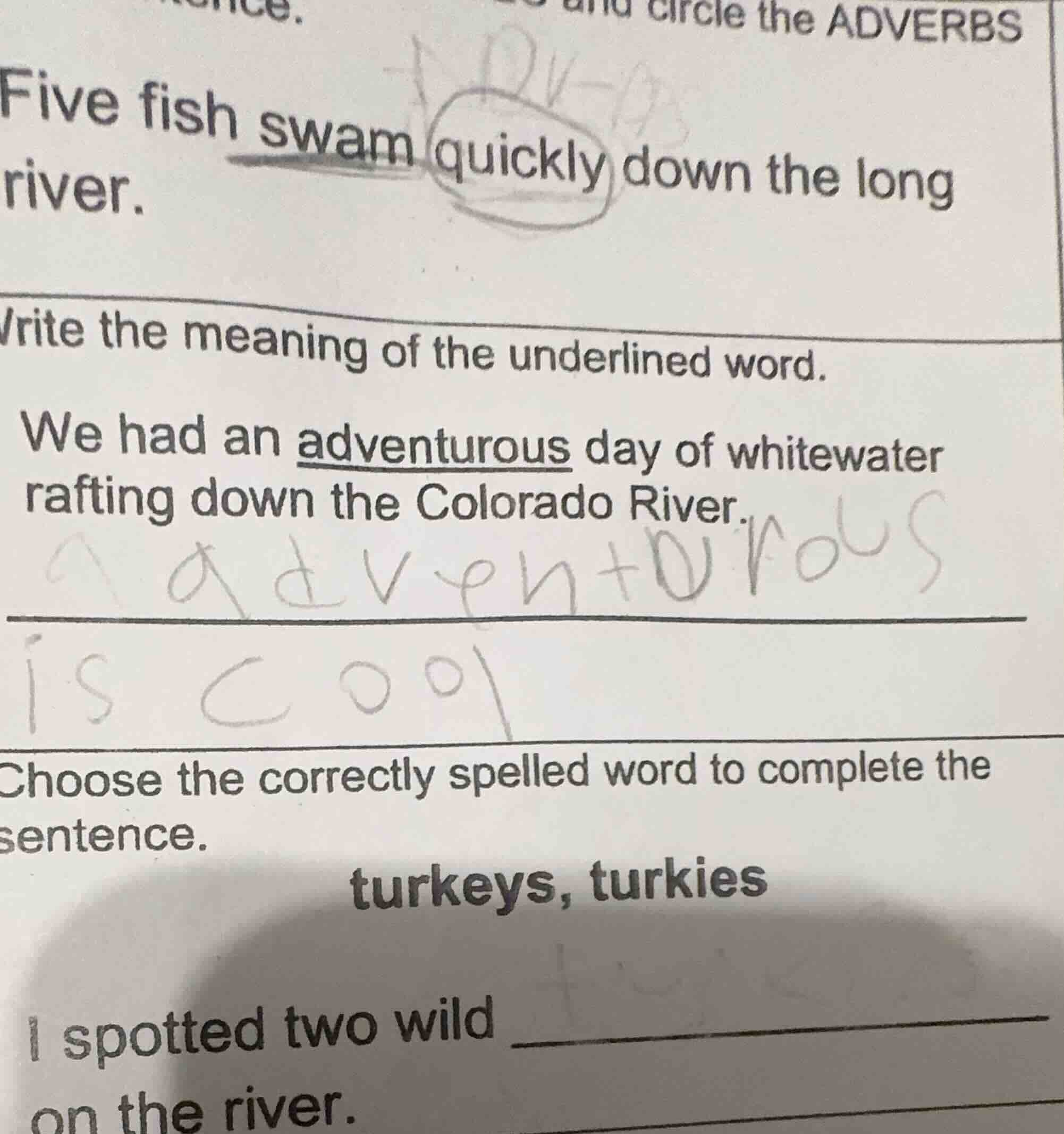 circle the adverbs five fish swam quickly down the long river. write th…