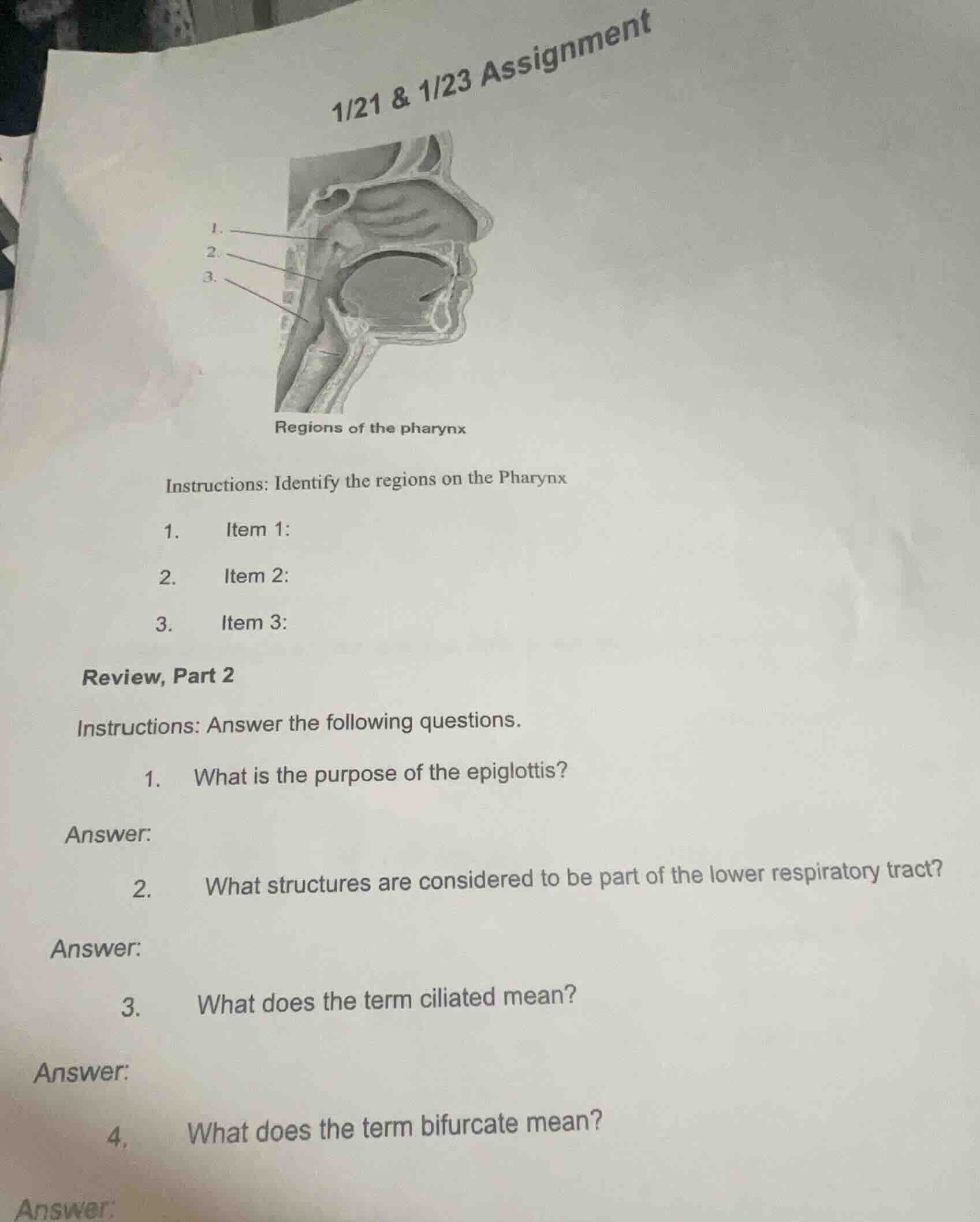 1/21 & 1/23 assignment regions of the pharynx instructions: identify th…