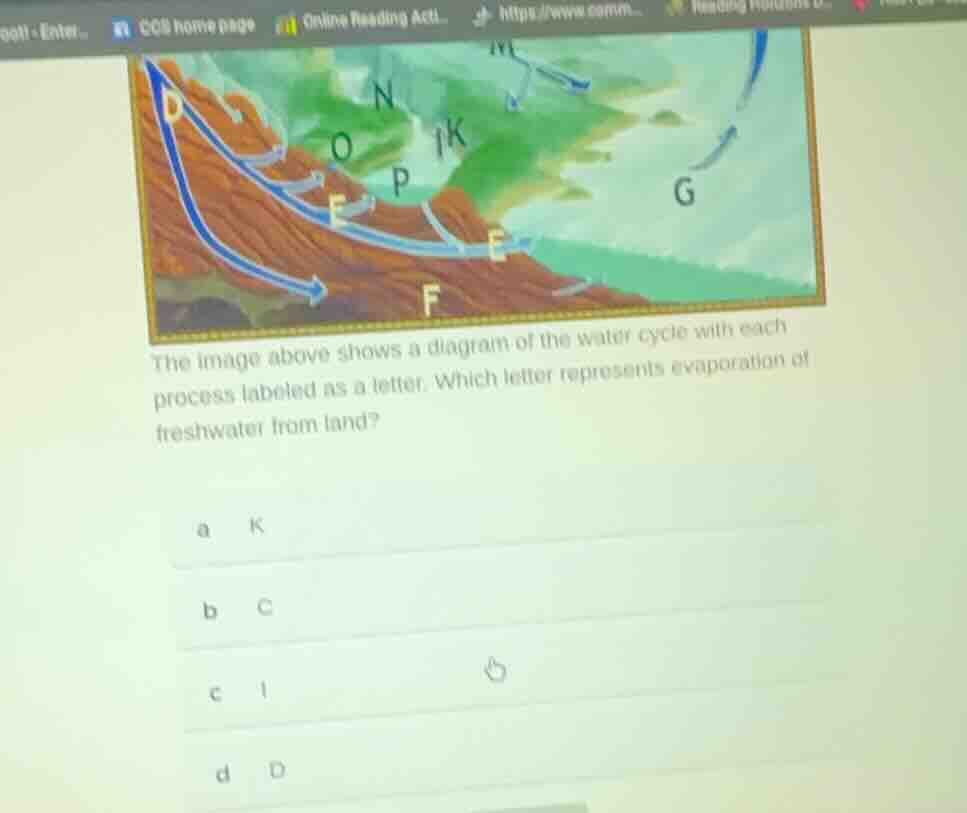 the image above shows a diagram of the water cycle with each process la…