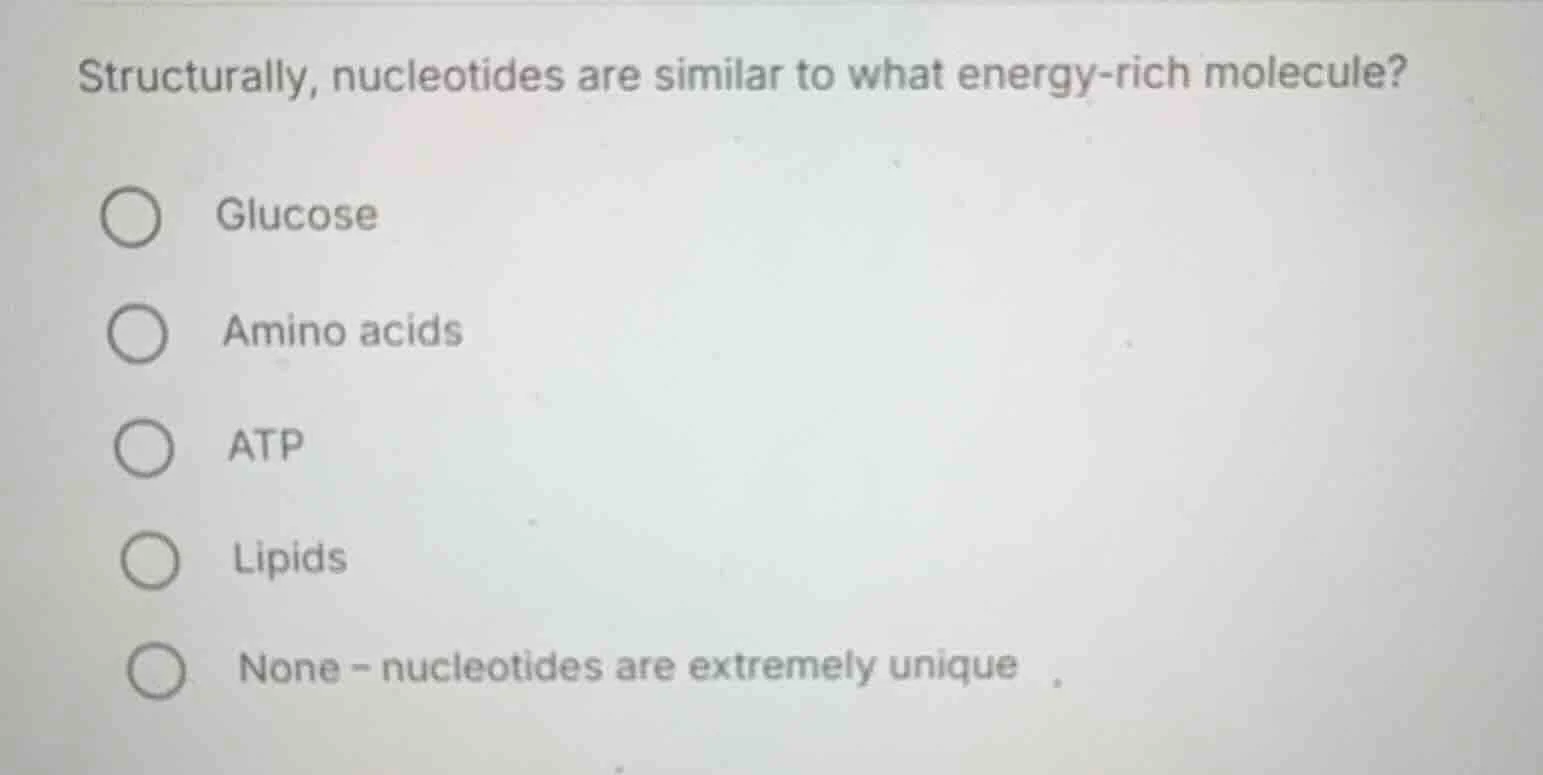 structurally, nucleotides are similar to what energy-rich molecule? glu…