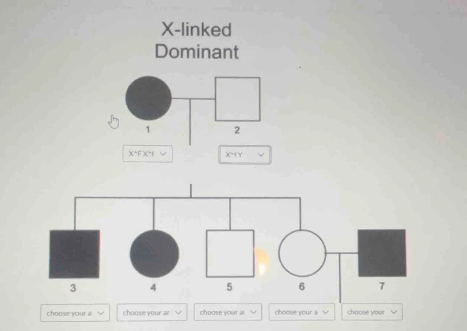 x-linked dominant 1 $x^f$$x^f$ 2 $x^fy$ 3 choose your a 4 choose your a…
