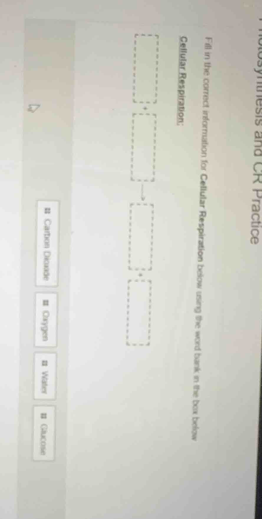 photosynthesis and cr practice fill in the correct information for cell…