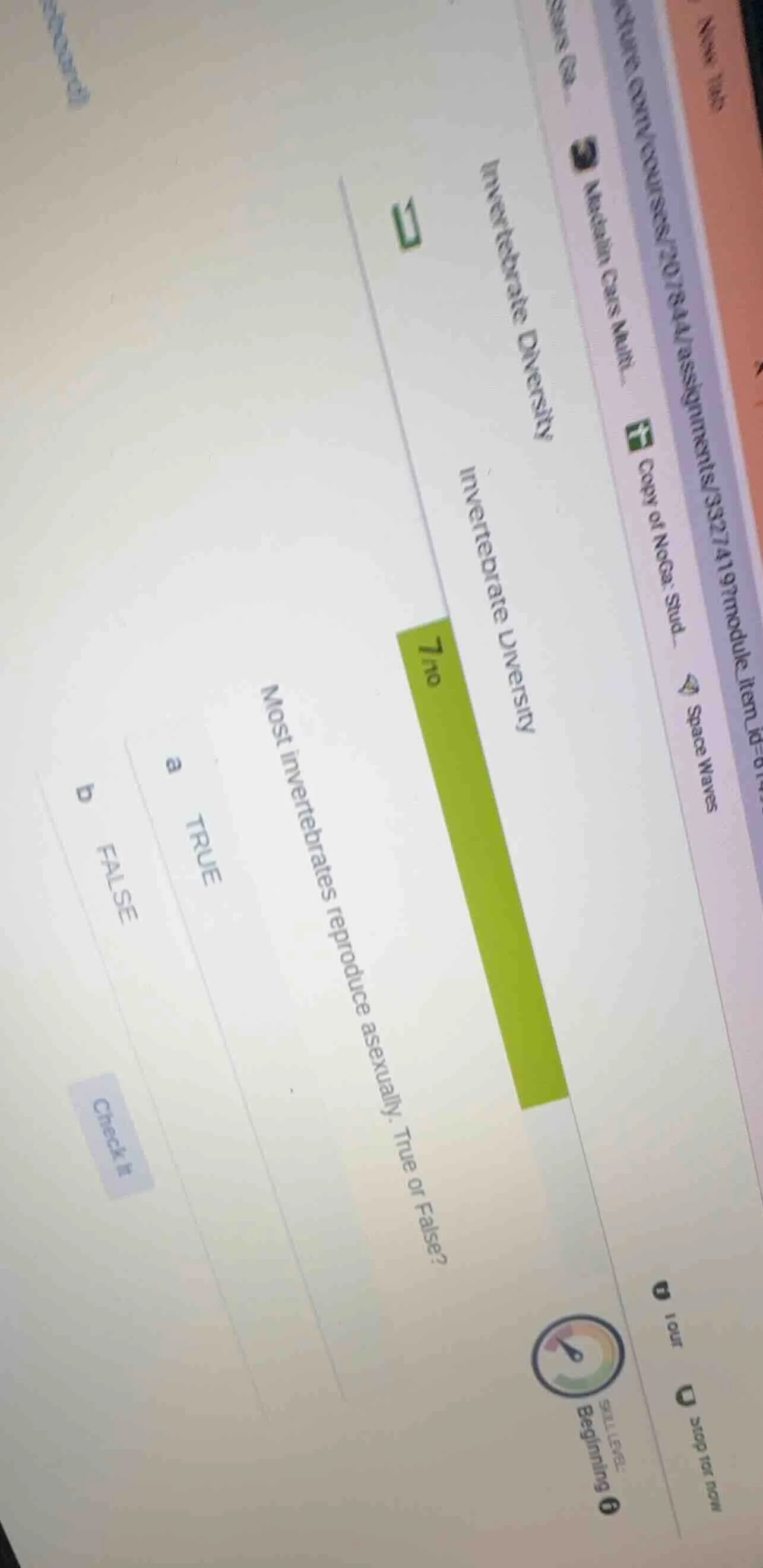 invertebrate diversity invertebrate diversity 7/10 most invertebrates r…