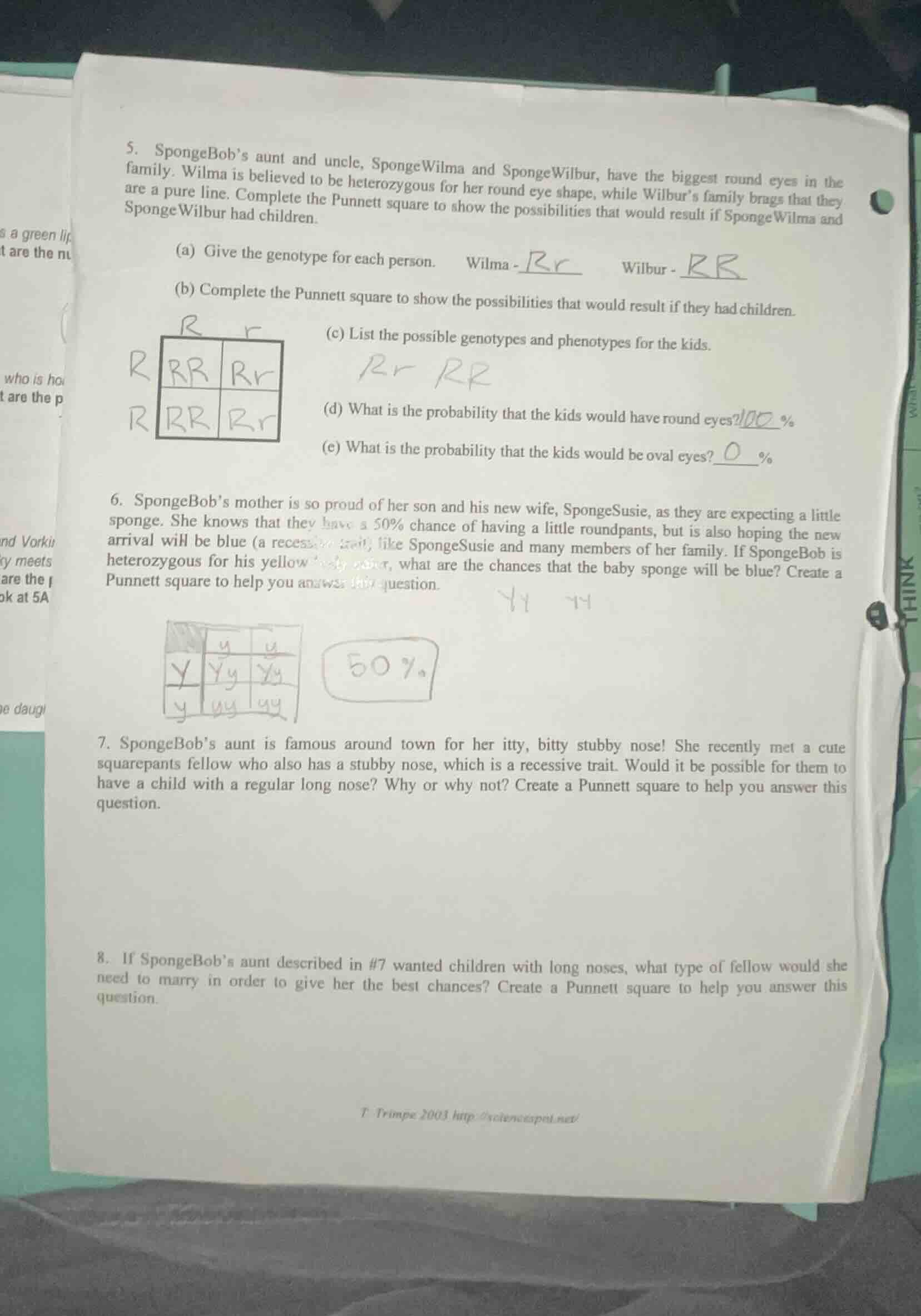 5. spongebobs aunt and uncle, spongewilma and spongewilbur, have the bi…