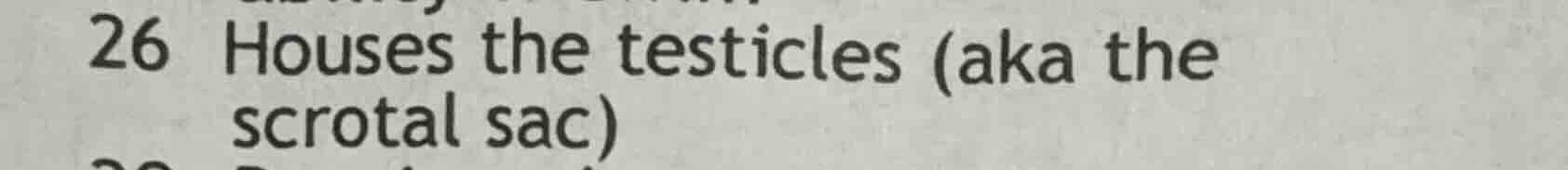 26 houses the testicles (aka the scrotal sac)