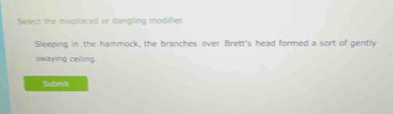 select the misplaced or dangling modifier. sleeping in the hammock, the…