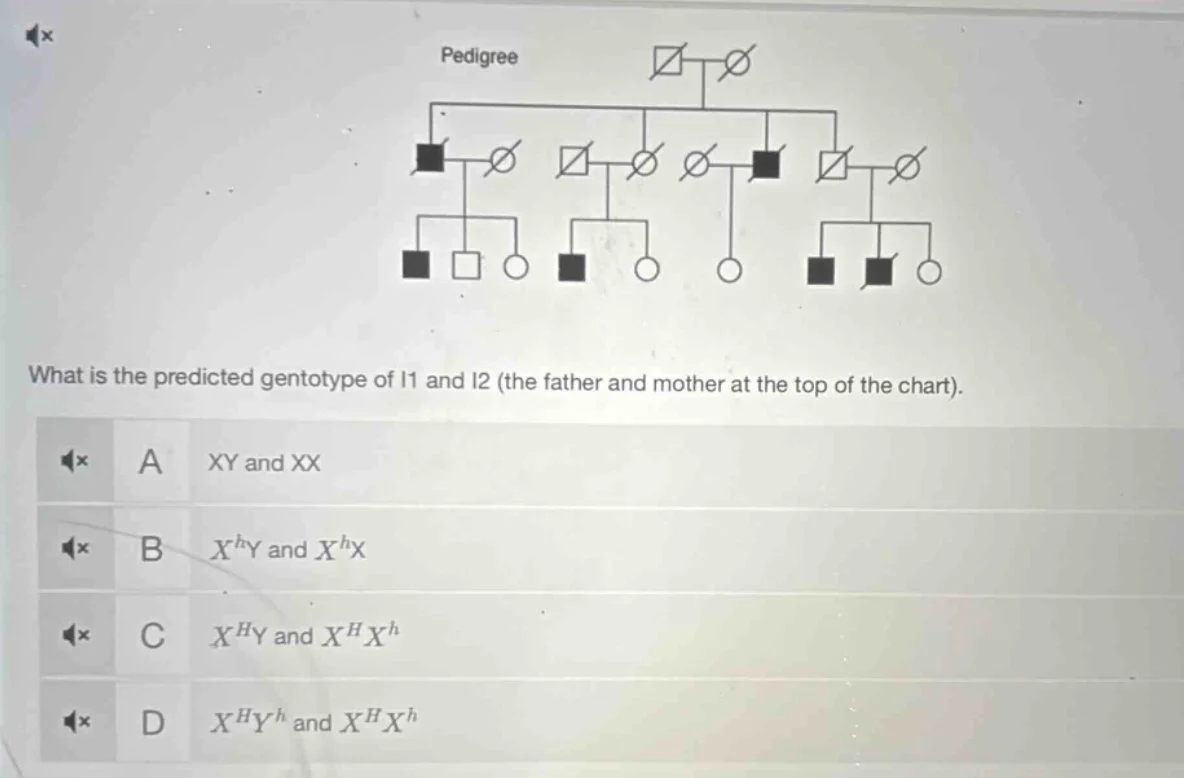 pedigree what is the predicted genotype of i1 and i2 (the father and mo…