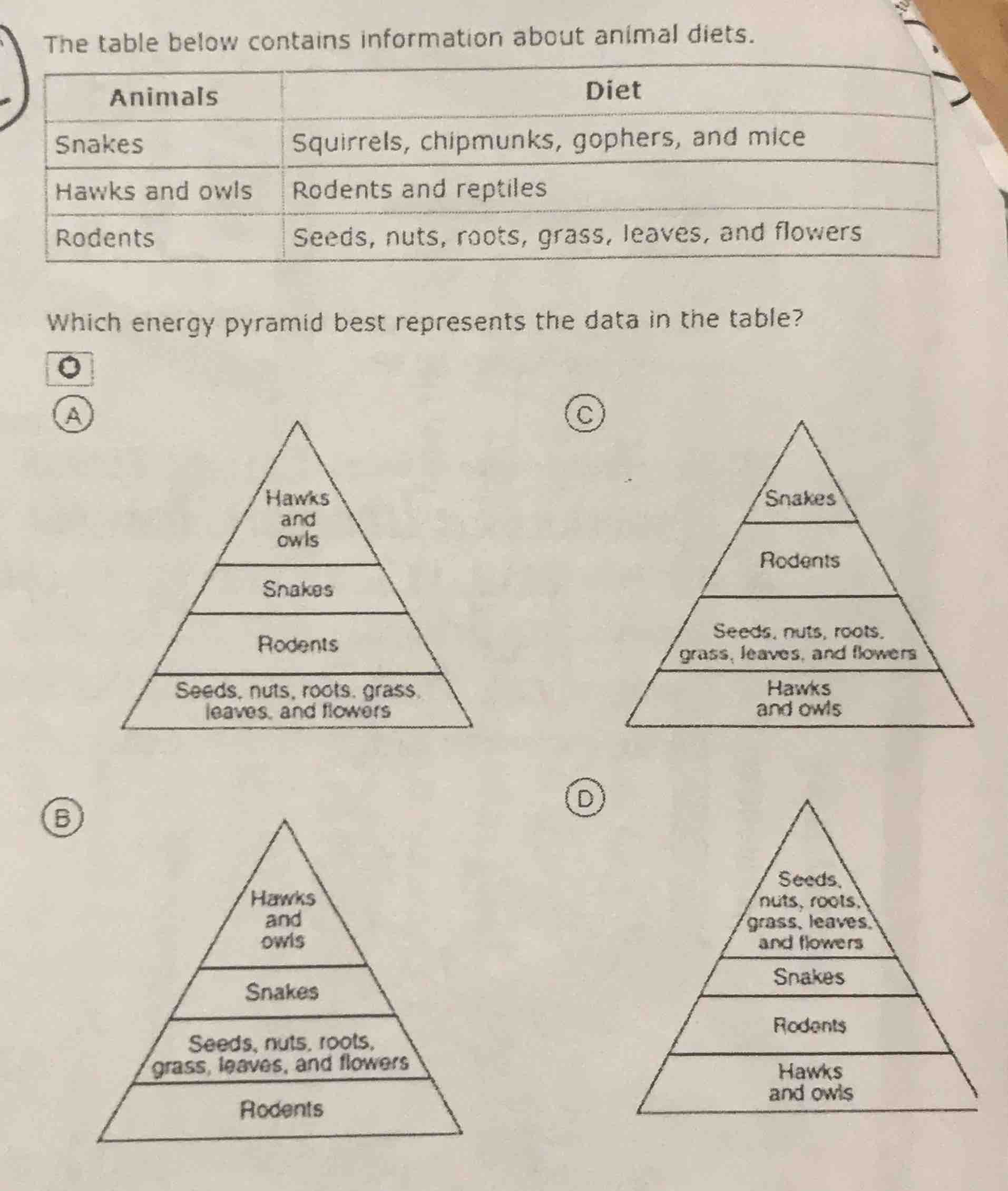 the table below contains information about animal diets. animals | diet…