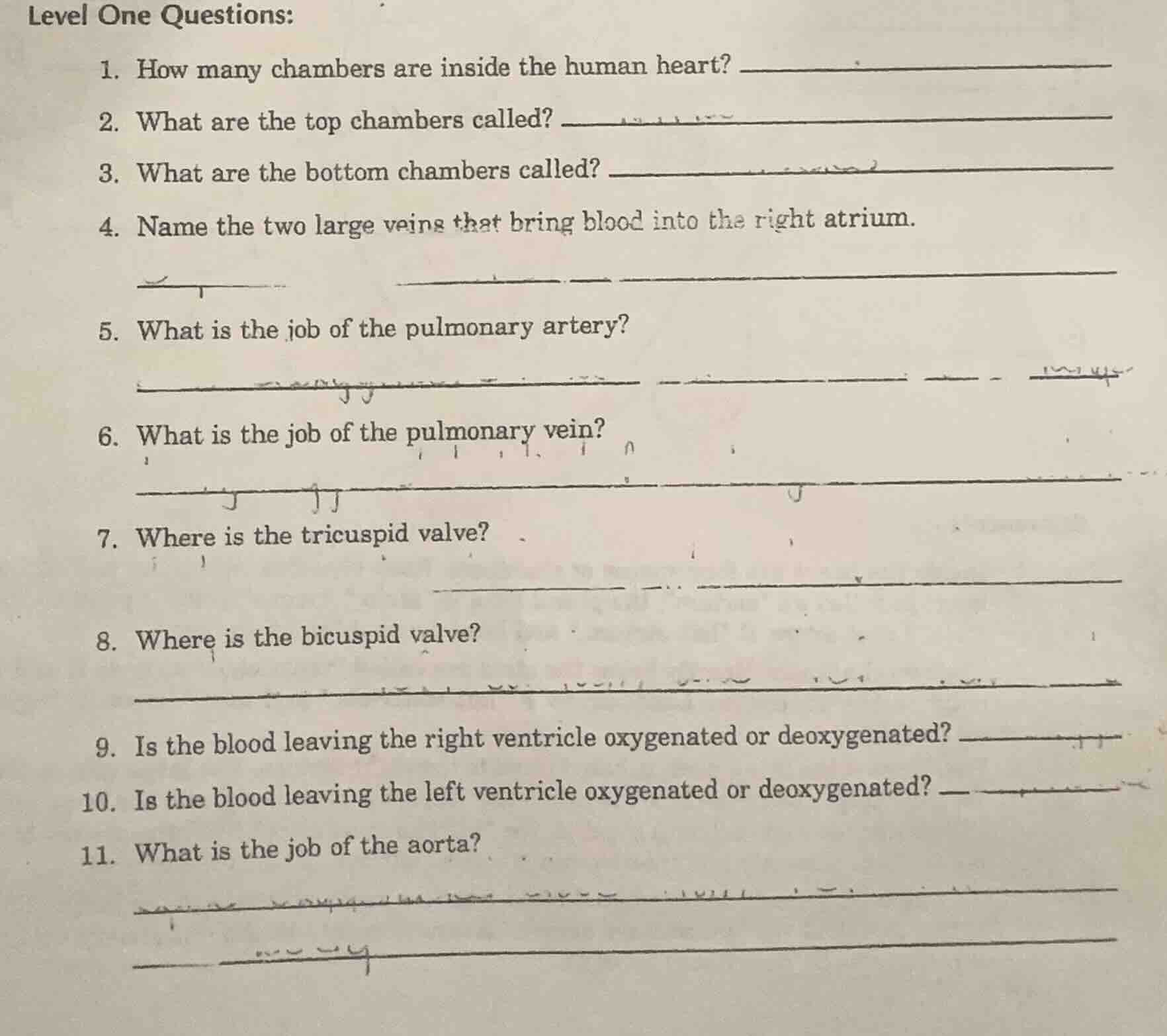 level one questions: 1. how many chambers are inside the human heart? 2…