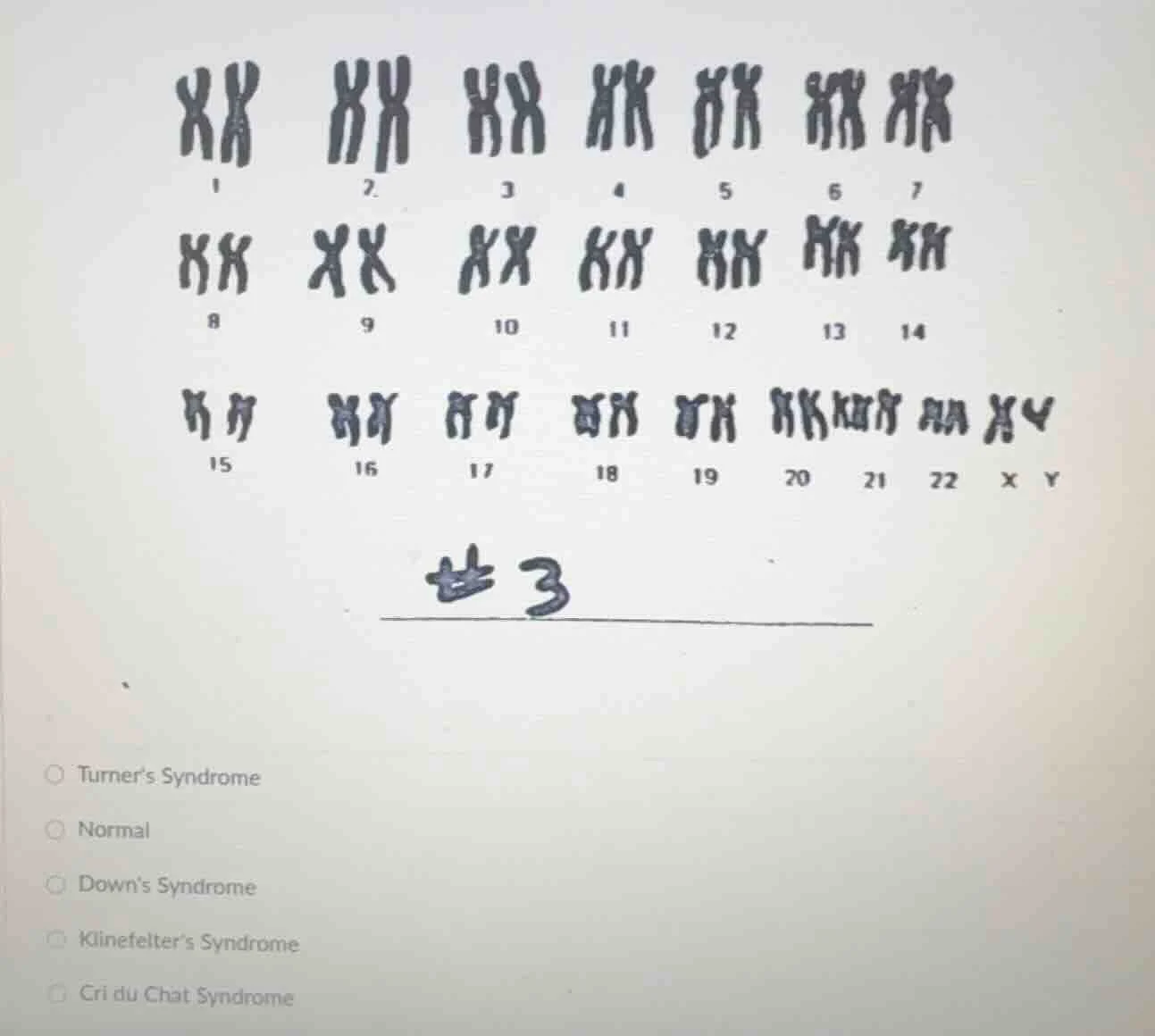 1 2 3 4 5 6 7 8 9 10 11 12 13 14 15 16 17 18 19 20 21 22 x y #3 ○ turne…