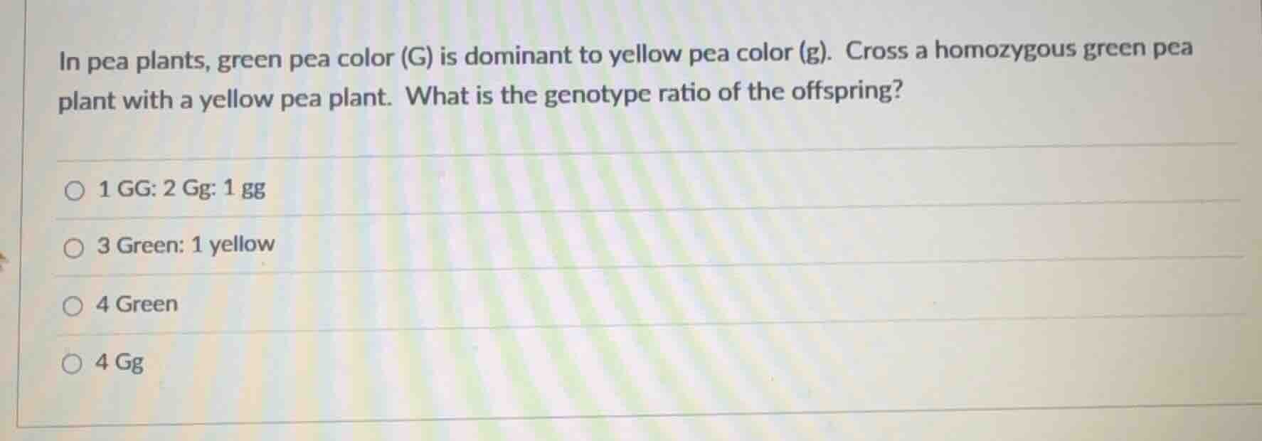 in pea plants, green pea color (g) is dominant to yellow pea color (g).…