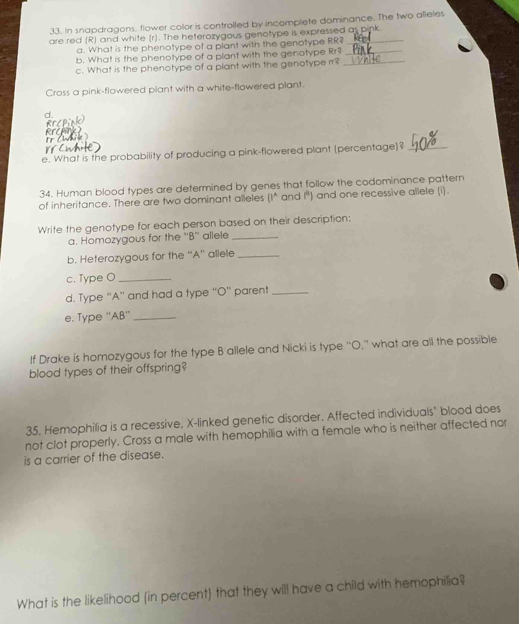 33. in snapdragons, flower color is controlled by incomplete dominance.…