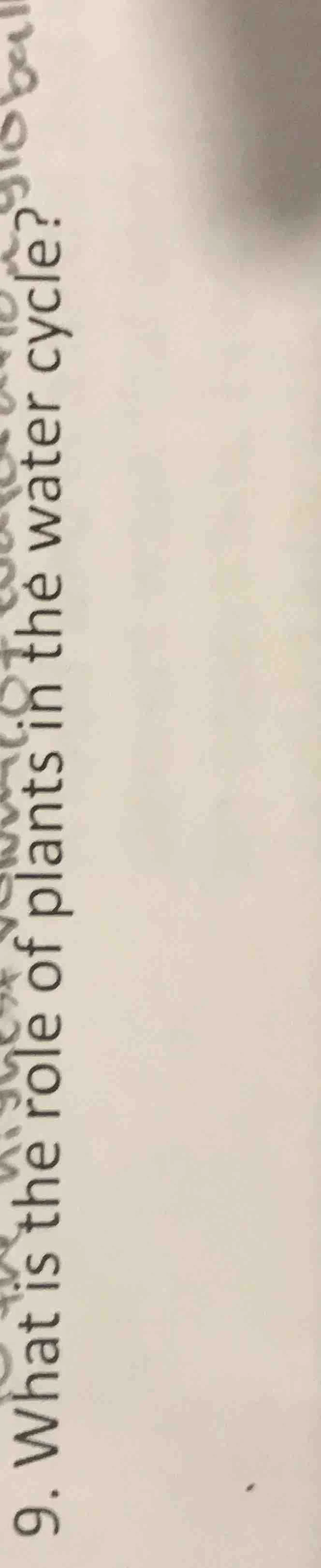 9. what is the role of plants in the water cycle?