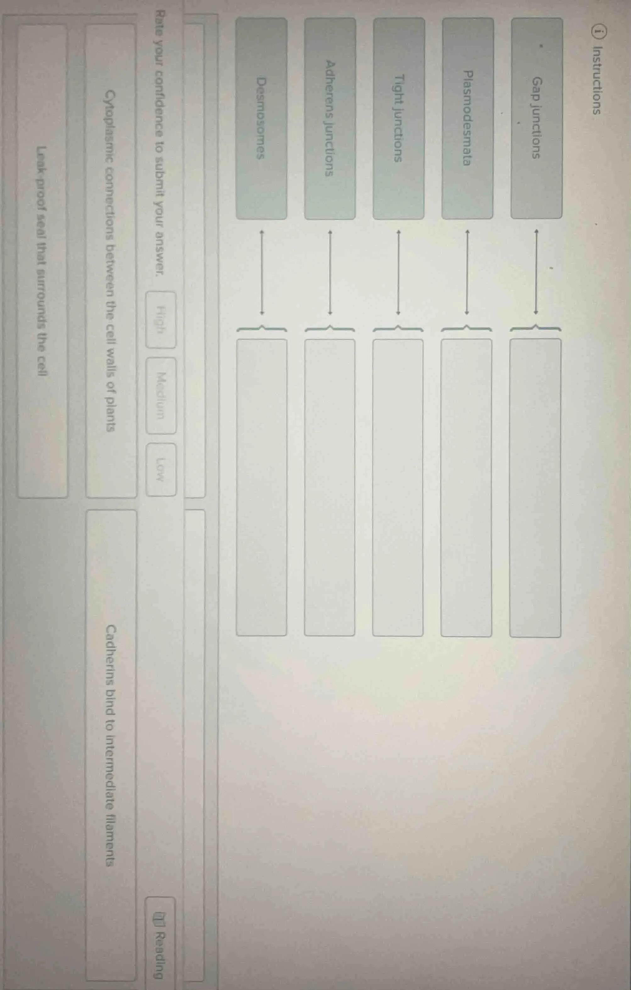 instructions match the following cell junctions with their descriptions…