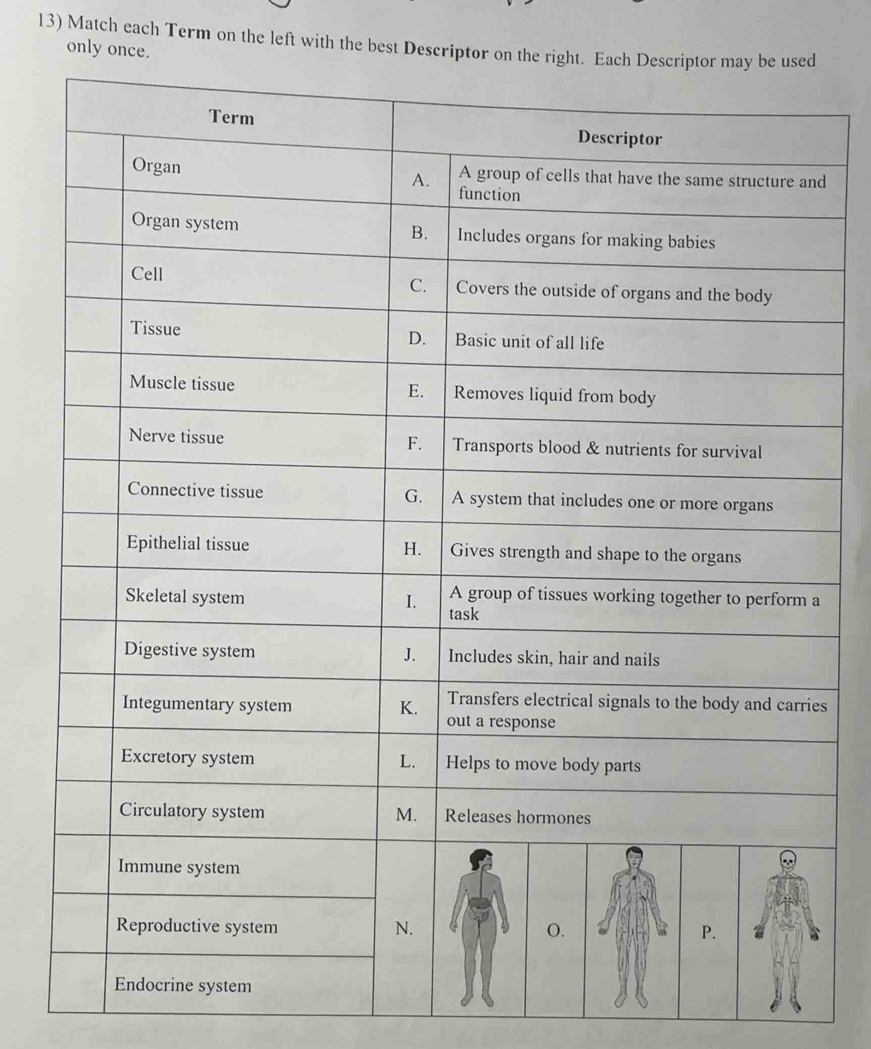 13) match each term on the left with the best descriptor on the right. …