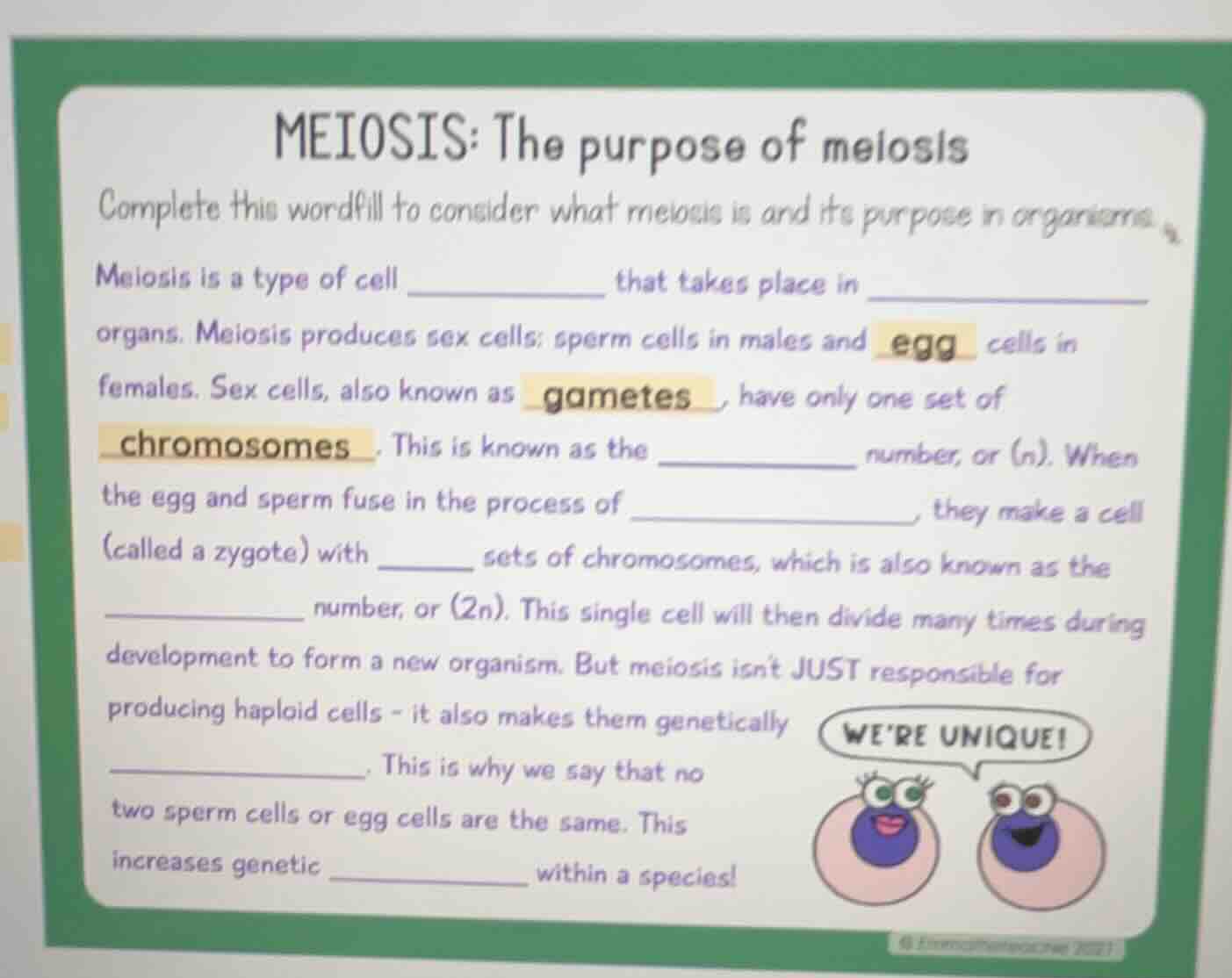 meiosis: the purpose of meiosis complete this wordfill to consider what…