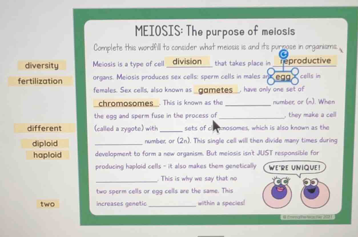 meiosis: the purpose of meiosis complete this wordfill to consider what…