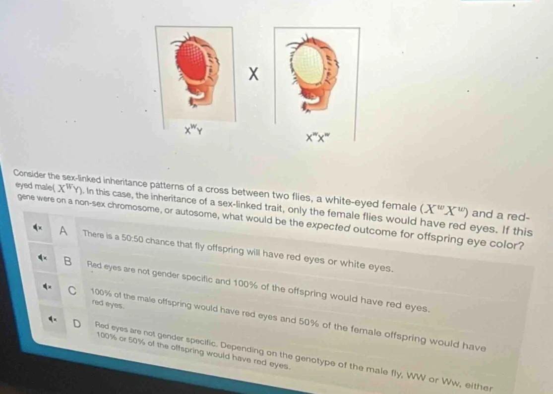 consider the sex-linked inheritance patterns of a cross between two fli…