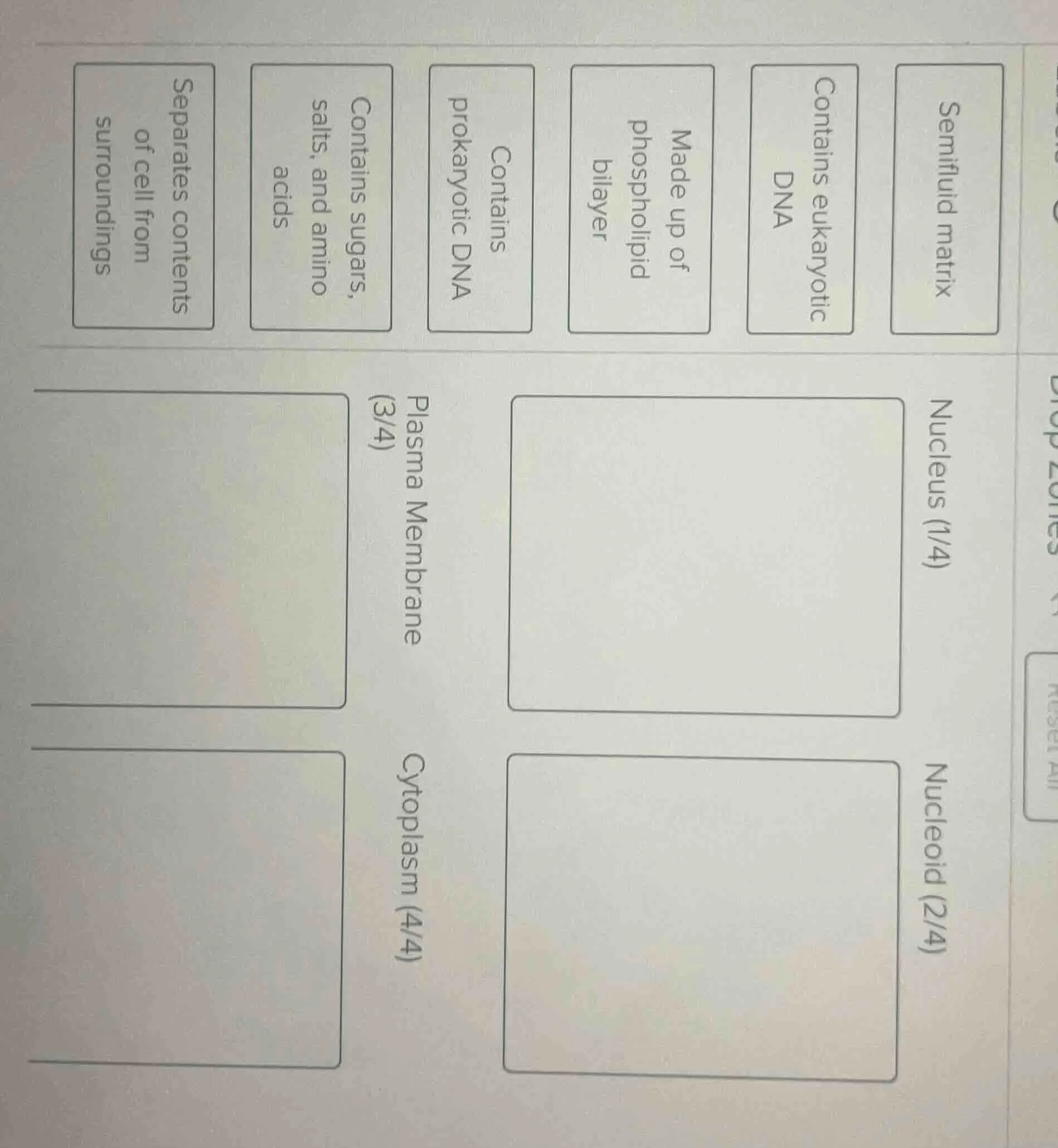 semifluid matrix contains eukaryotic dna made up of phospholipid bilaye…