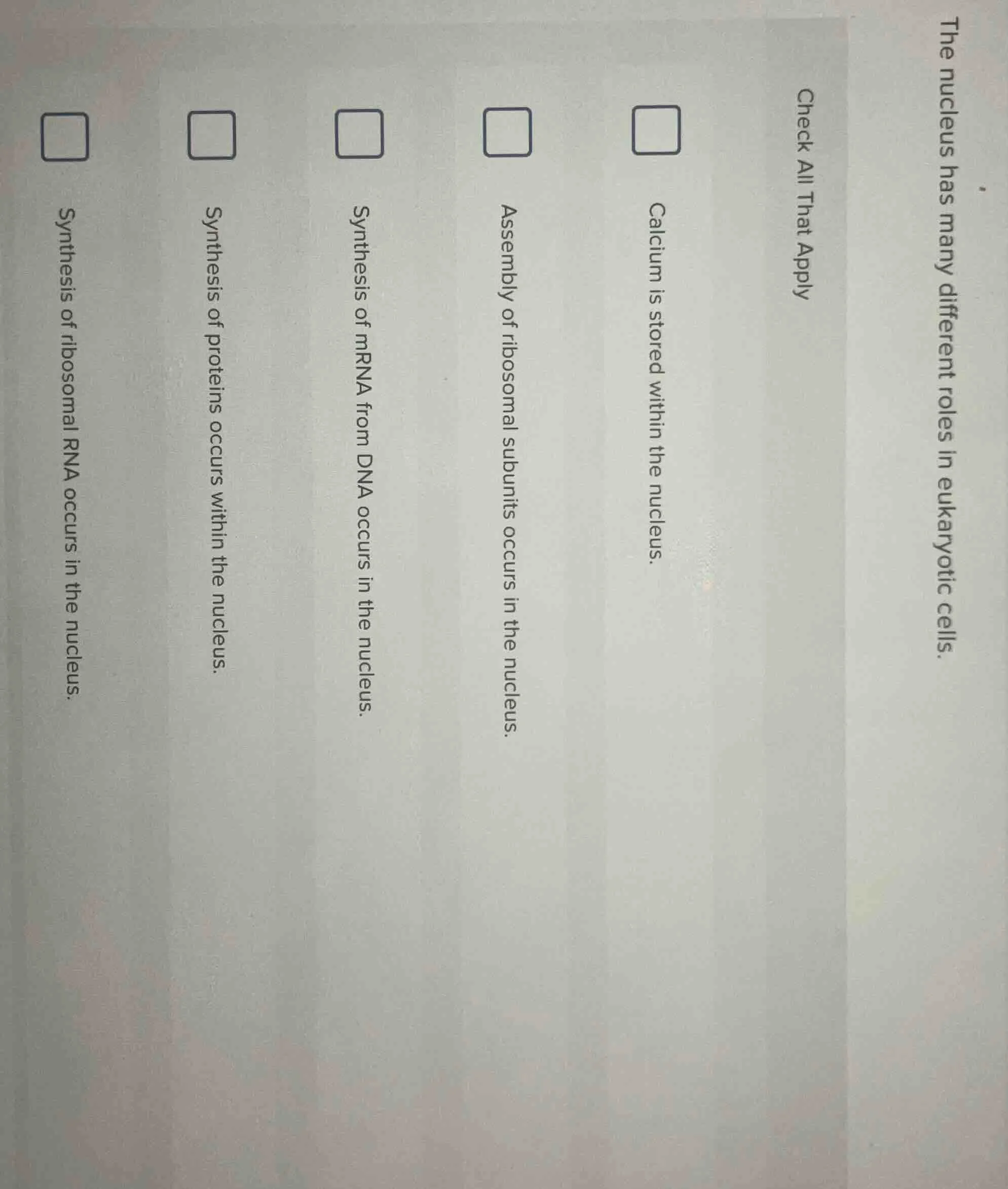 the nucleus has many different roles in eukaryotic cells. check all tha…