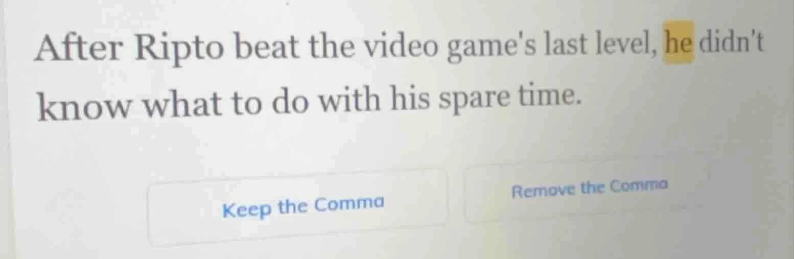 after ripto beat the video games last level, he didnt know what to do w…