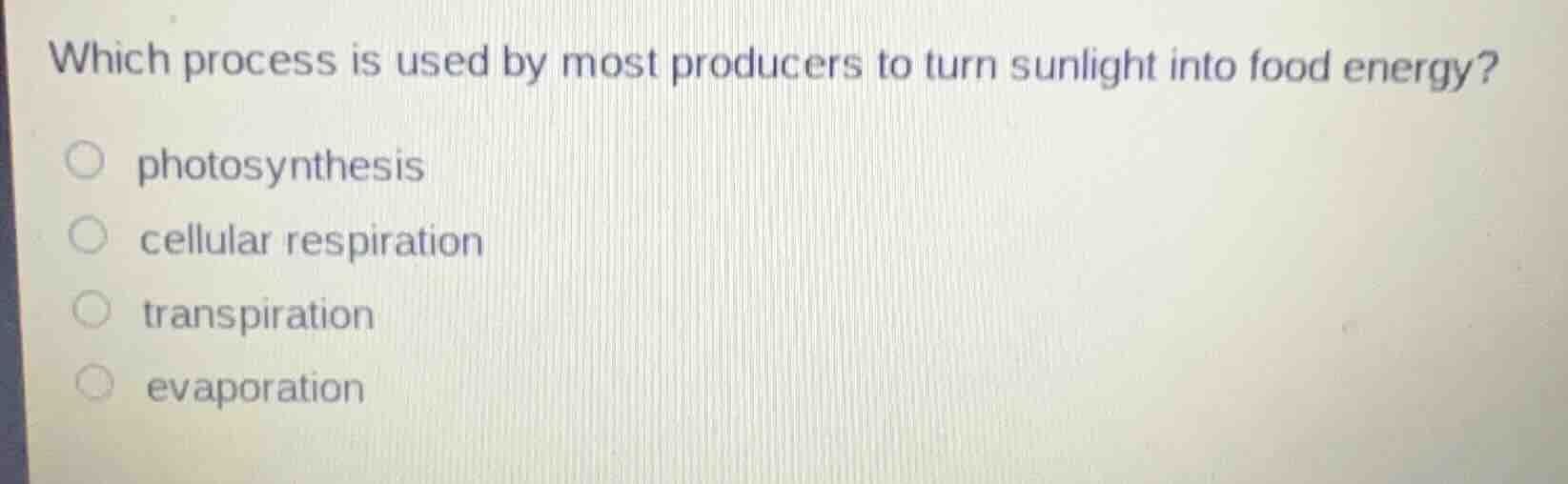 which process is used by most producers to turn sunlight into food ener…