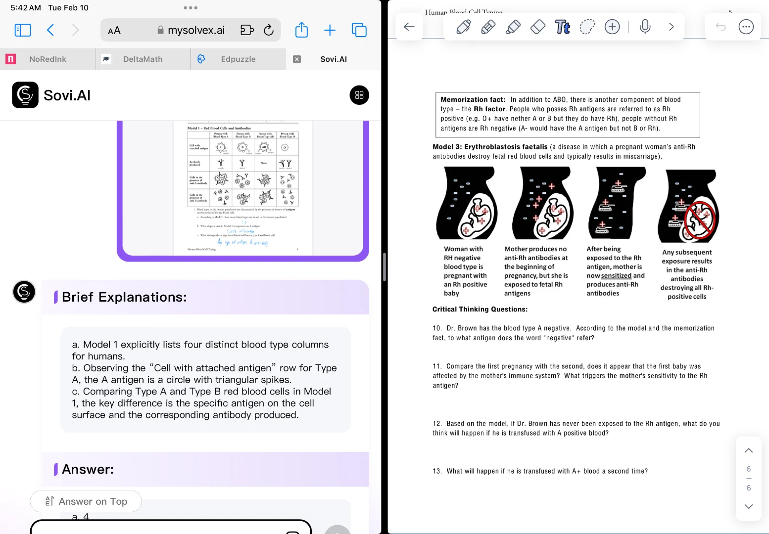 memorization fact: in addition to abo, there is another component of bl…