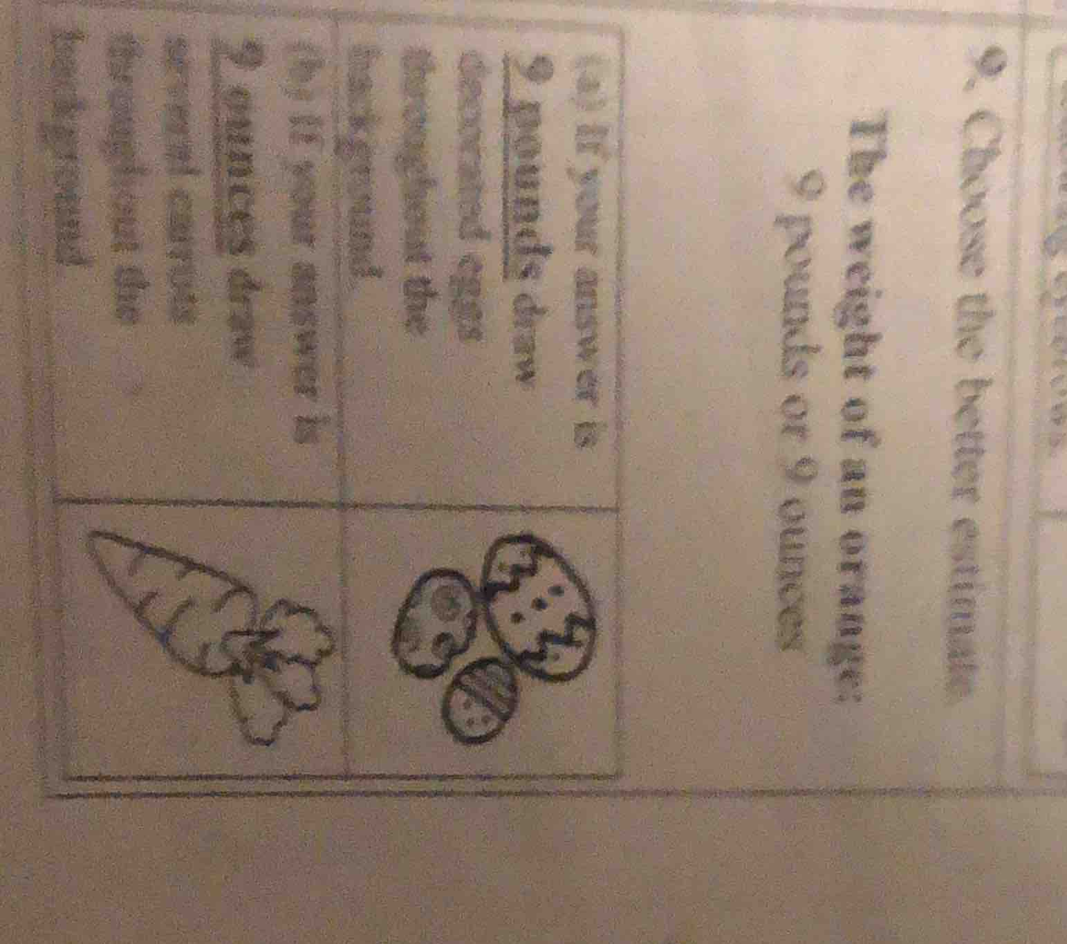 9. choose the better estimate the weight of an orange: 9 pounds or 9 ou…