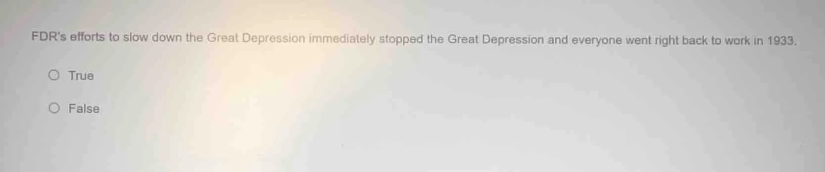 fdrs efforts to slow down the great depression immediately stopped the …