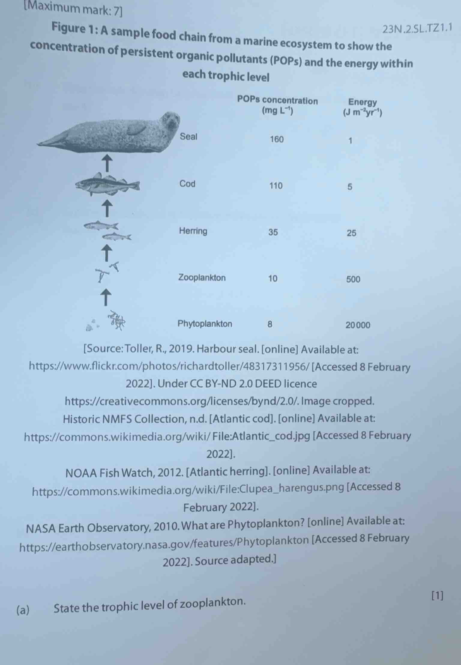 maximum mark: 7 23n.2.sl.tz1.1 figure 1: a sample food chain from a mar…