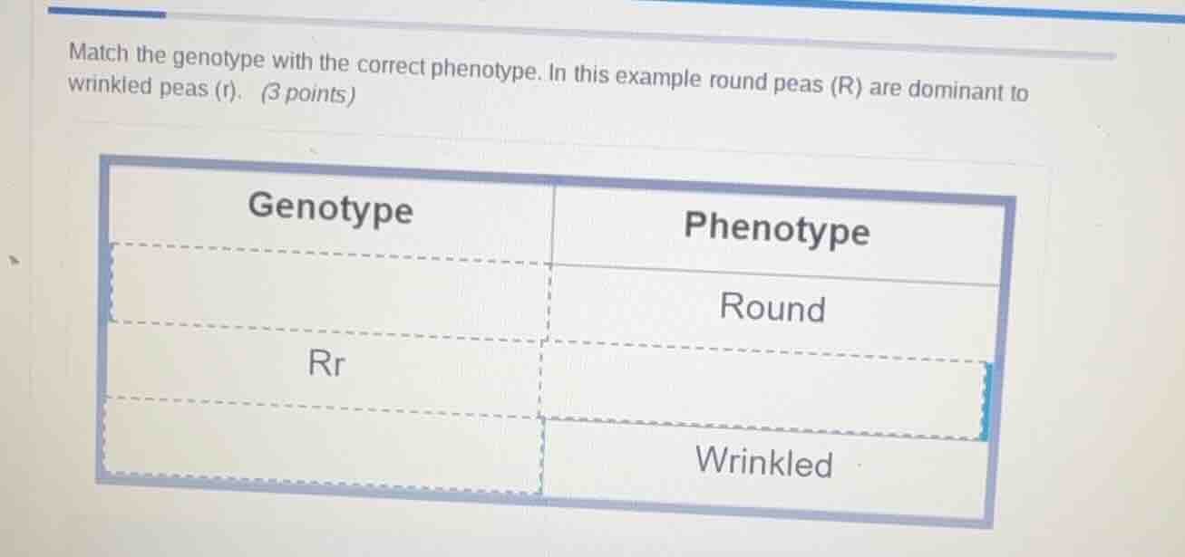 match the genotype with the correct phenotype. in this example round pe…