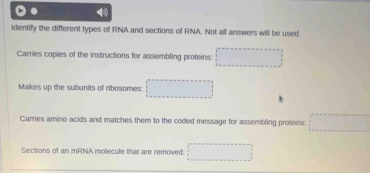 identify the different types of rna and sections of rna. not all answer…