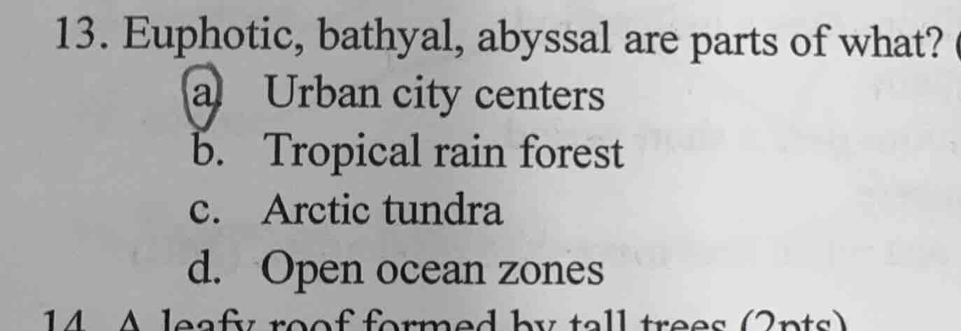 13. euphotic, bathyal, abyssal are parts of what? a. urban city centers…