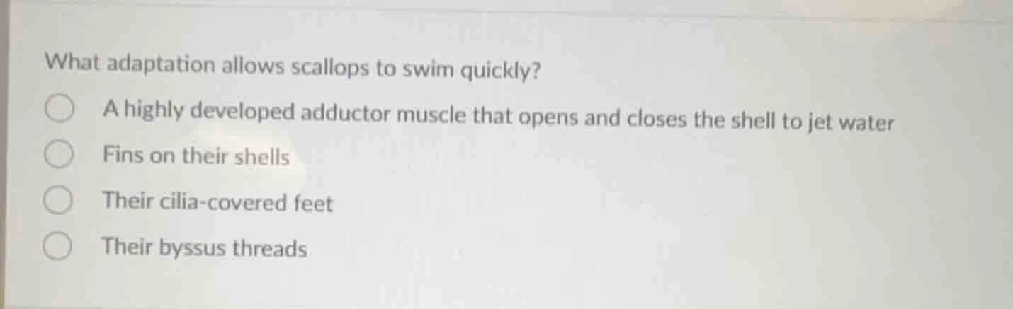 what adaptation allows scallops to swim quickly? a highly developed add…