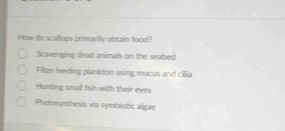 how do scallops primarily obtain food?scavenging dead animals on the se…