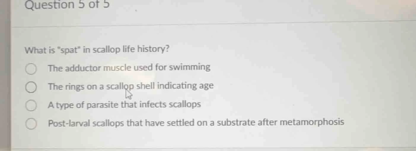 question 5 of 5 what is \spat\ in scallop life history? the adductor mu…