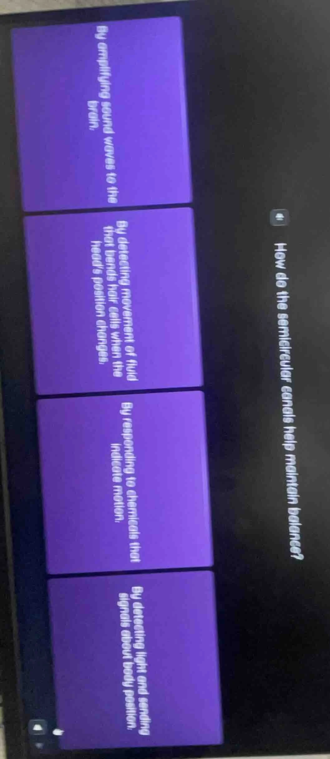 how do the semicircular canals help maintain balance? by amplifying sou…